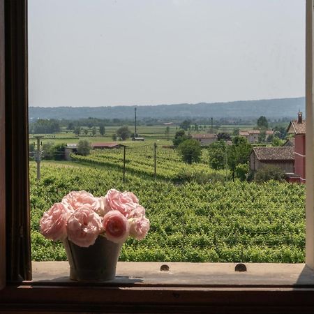 Fiori&Vigne Di Cecilia Marcon Villa Farra di Soligo Dış mekan fotoğraf