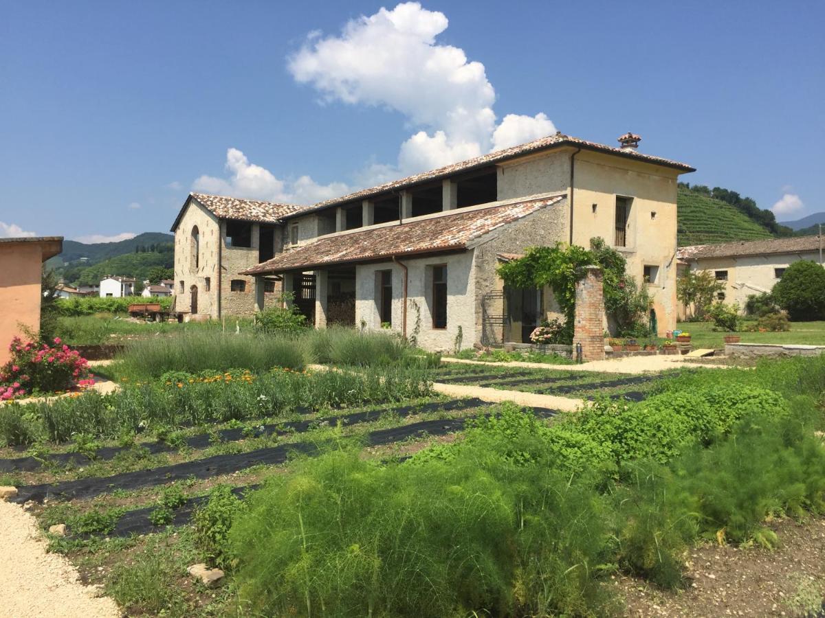 Fiori&Vigne Di Cecilia Marcon Villa Farra di Soligo Dış mekan fotoğraf