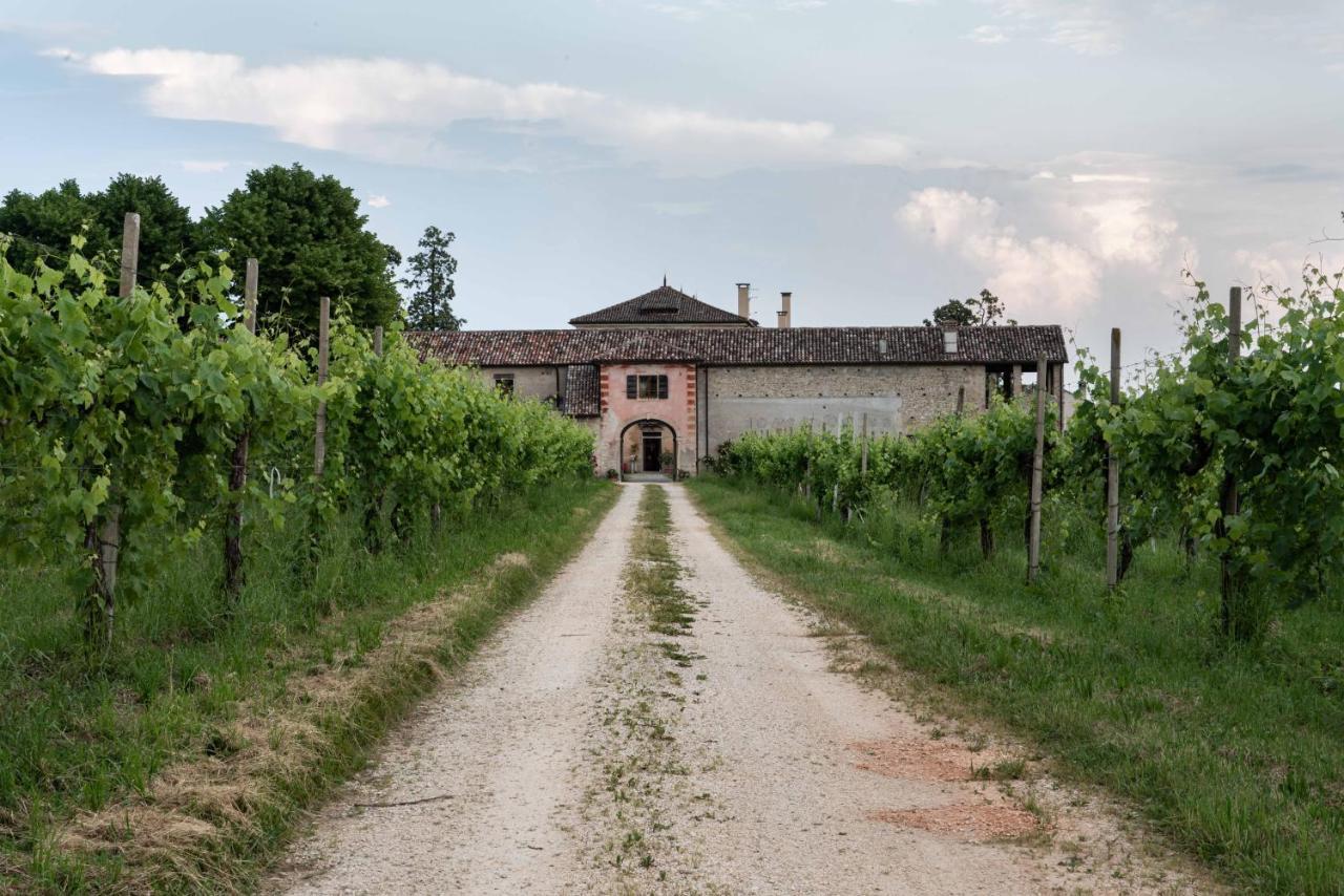Fiori&Vigne Di Cecilia Marcon Villa Farra di Soligo Dış mekan fotoğraf
