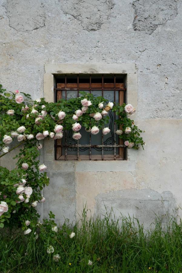 Fiori&Vigne Di Cecilia Marcon Villa Farra di Soligo Dış mekan fotoğraf