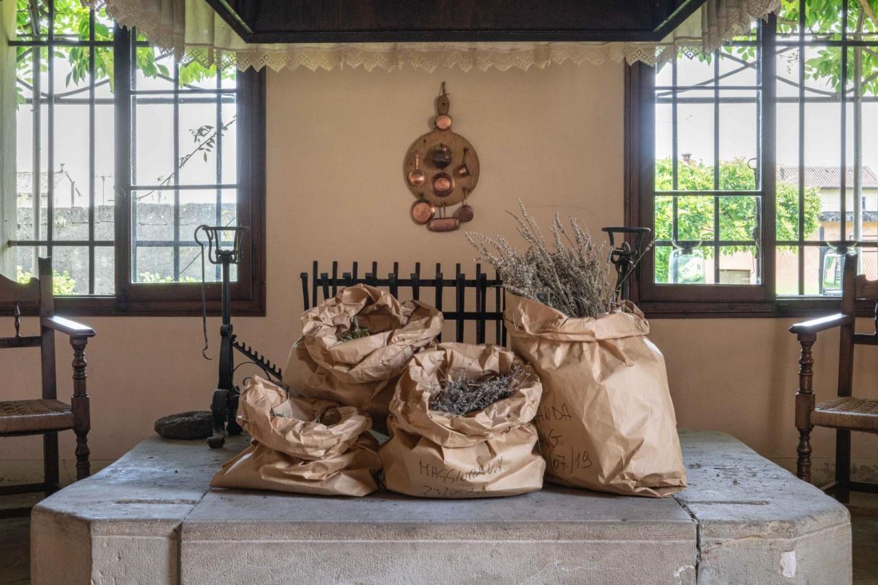 Fiori&Vigne Di Cecilia Marcon Villa Farra di Soligo Dış mekan fotoğraf